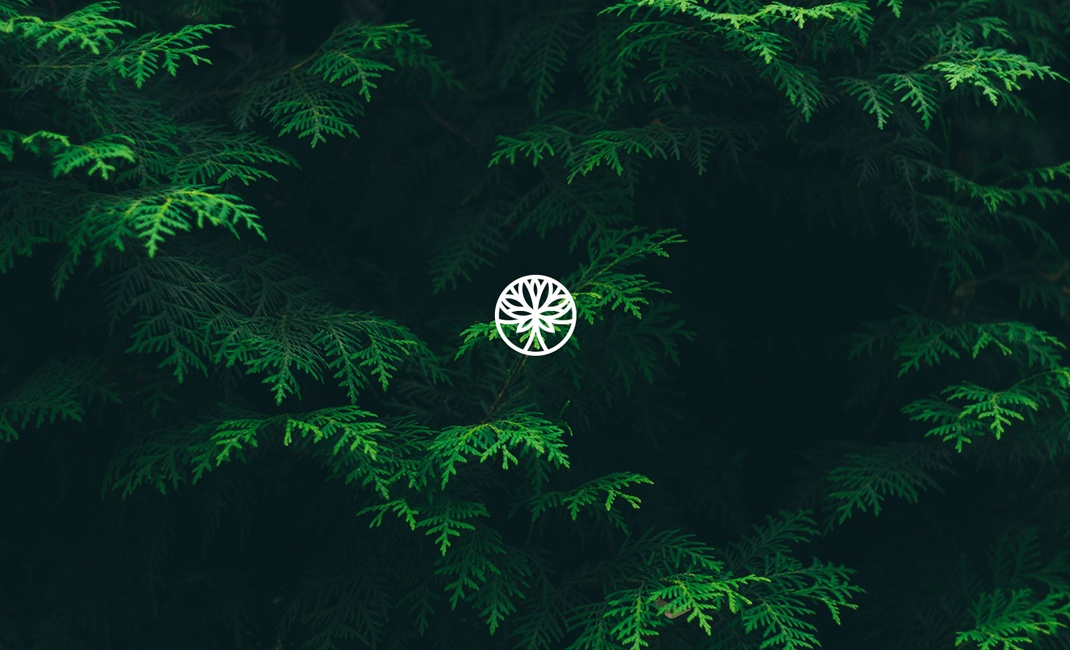 國外logo設(shè)計大全 國外logo設(shè)計大全